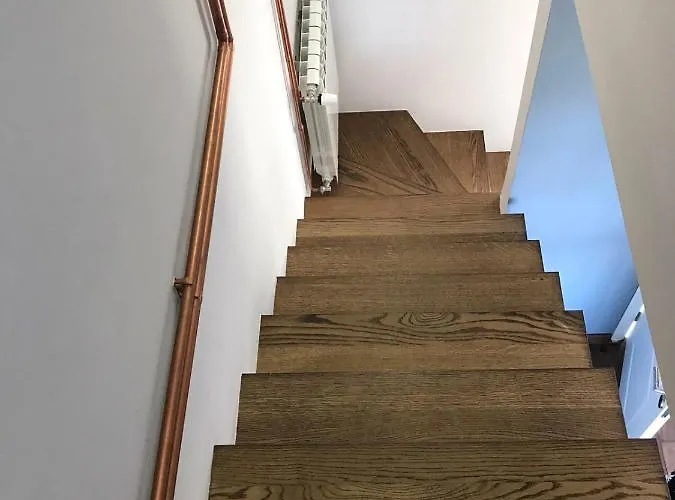 Jules Verne * Kopaonik