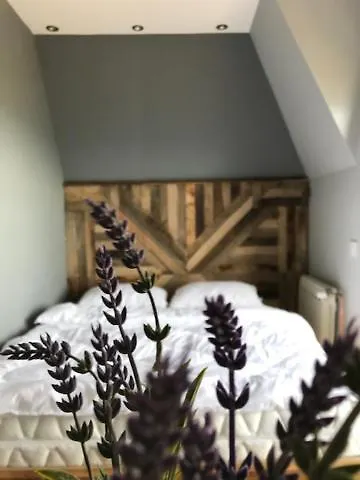 Apartman Jules Verne *