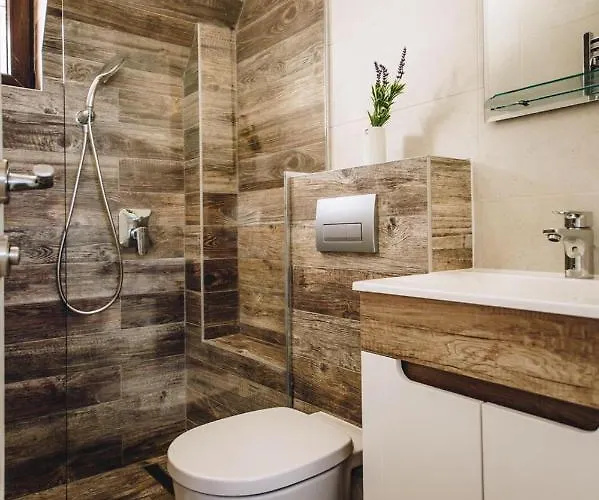 Jules Verne Kopaonik